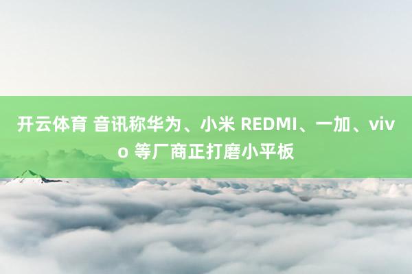 开云体育 音讯称华为、小米 REDMI、一加、vivo 等厂商正打磨小平板