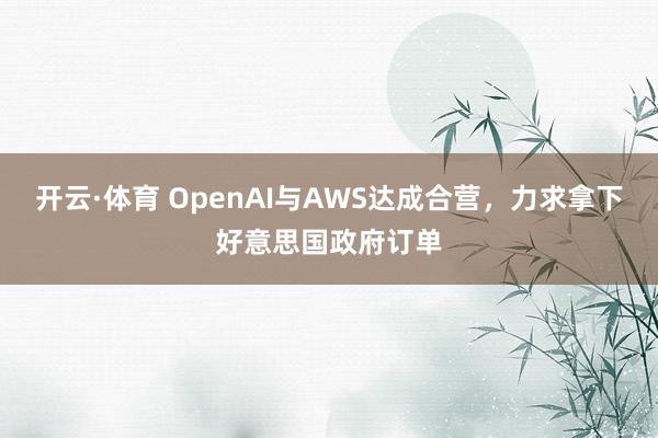 开云·体育 OpenAI与AWS达成合营，力求拿下好意思国政府订单