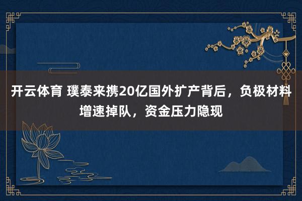开云体育 璞泰来携20亿国外扩产背后，负极材料增速掉队，资金压力隐现