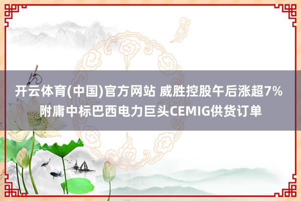 开云体育(中国)官方网站 威胜控股午后涨超7% 附庸中标巴西电力巨头CEMIG供货订单