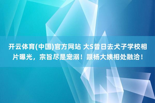 开云体育(中国)官方网站 大S昔日去犬子学校相片曝光，宗旨尽是宠溺！跟杨大姨相处融洽！