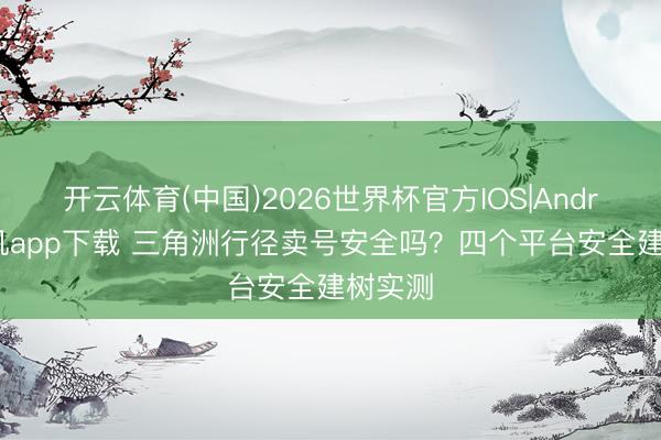 开云体育(中国)2026世界杯官方IOS|Android手机app下载 三角洲行径卖号安全吗？四个平台安全建树实测