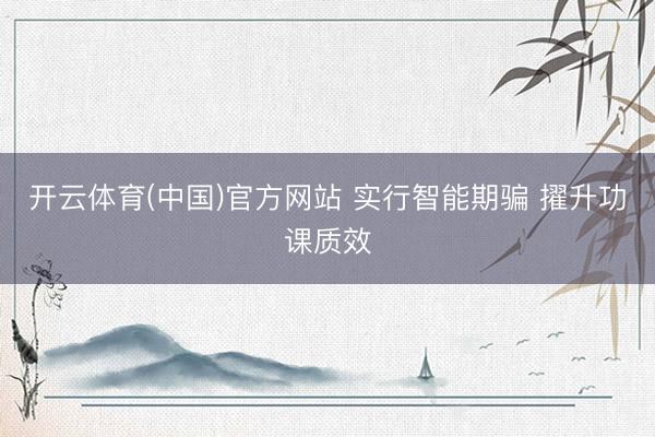 开云体育(中国)官方网站 实行智能期骗 擢升功课质效