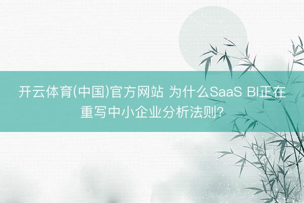 开云体育(中国)官方网站 为什么SaaS BI正在重写中小企业分析法则？
