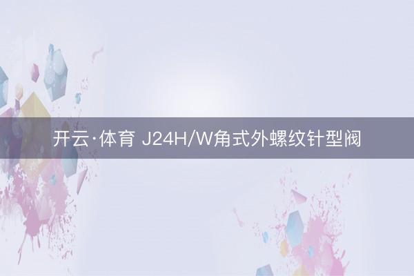 开云·体育 J24H/W角式外螺纹针型阀