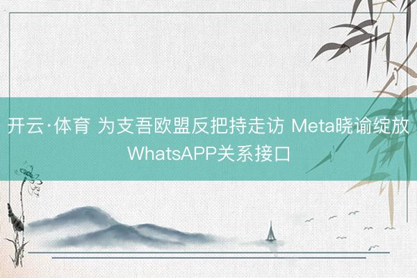 开云·体育 为支吾欧盟反把持走访 Meta晓谕绽放WhatsAPP关系接口