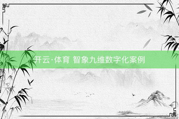 开云·体育 智象九维数字化案例