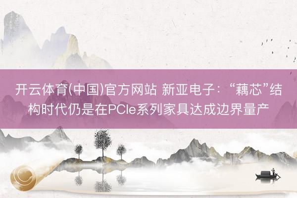 开云体育(中国)官方网站 新亚电子：“藕芯”结构时代仍是在PCIe系列家具达成边界量产
