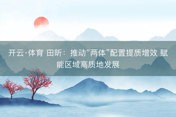 开云·体育 田昕：推动“两体”配置提质增效 赋能区域高质地发展