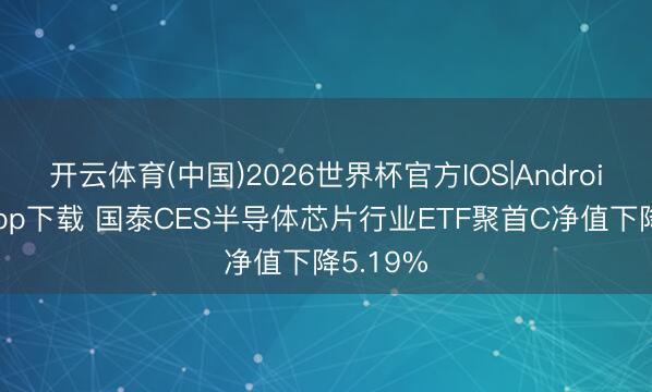 开云体育(中国)2026世界杯官方IOS|Android手机app下载 国泰CES半导体芯片行业ETF聚首C净值下降5.19%