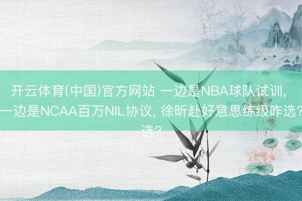 开云体育(中国)官方网站 一边是NBA球队试训， 一边是NCAA百万NIL协议， 徐昕赴好意思练级咋选?