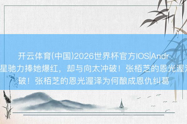 开云体育(中国)2026世界杯官方IOS|Android手机app下载 周星驰力捧她爆红，却与向太冲破！张栢芝的恩光渥泽为何酿成恩仇纠葛